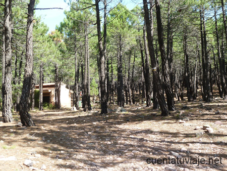 Zona de Recreo La Pimpollada, Pina de Montalgrao (Castellón)